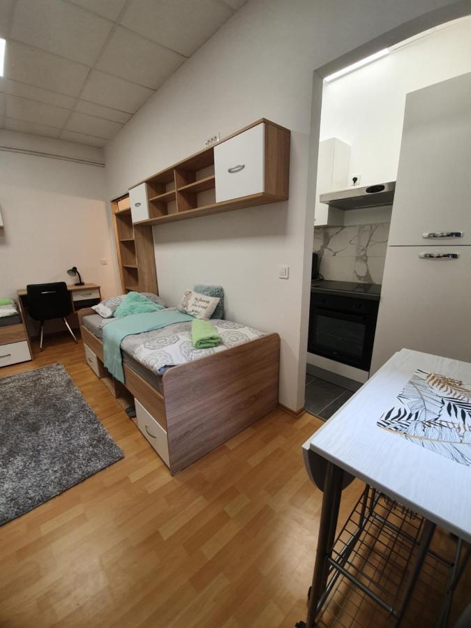 Maribor City Center Minidorm Apartment Buitenkant foto